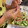 クック26PAK7☆'s cooksnap of when they made 簡単！お惣菜屋さんの中華風春雨サラダ.