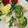 U_Uumi☆'s cooksnap of when they made 大好評の和風タルタルで♪ほうれん草和え.