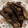 Yokchina's cooksnap of when they made 我が家の焼きナス！簡単.