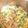 ☆しろくまくん☆'s cooksnap of when they made 豚ホルモンの肉吸い風☆ヒガシマルスープで.