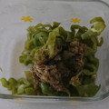 saotty's cooksnap of when they made ピーマン＆とろろ昆布のおひたし.