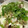 toshio39's cooksnap of when they made みょうがと大葉の冷奴。.