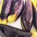 ぼんちゅう食堂's cooksnap of when they made キレイな色に仕上がるナスのレンジ蒸し.