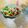 ボブナナ's cooksnap of when they made アボカドとミックスビーンズのサラダ.