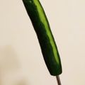 coffeeマメ's cooksnap of when they made ビックリ？！丸ごときゅうりスティック.