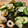 berry♪a_a♪'s cooksnap of when they made 我が家の定番☆酢の物.