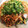 saki1010's cooksnap of when they made いつもと違うヤキソバ☆タイ風やきそば.