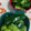 赤い電話's cooksnap of when they made 【副菜】１分で！きゅうりの和え物.