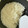 ほっほ's cooksnap of when they made 炊飯器よりも速い！ご飯の炊き方。.