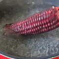 ♡マッキークッキング's cooksnap of when they made 真っ赤なとうもろこしでも！4分はん♡.