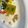 ぞうさん's cooksnap of when they made かぼちゃのそぼろ煮★幼児食にも◎.