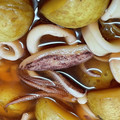 きよぞーだよ。's cooksnap of when they made いかとじゃがいもの煮物.
