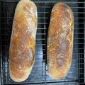 クックH86AFM☆'s cooksnap of when they made トマト酵母～元種作りまで～.