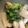 saki1010's cooksnap of when they made 夏に涼しげ~焼きなすより簡単☆水晶なす.