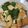 クックP09GTP☆'s cooksnap of when they made ほうれん草と厚揚げの煮物ダイエットおかず.