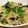 クック88IXWX☆'s cooksnap of when they made うちご飯5 小鉢ニラともやしのナムル.