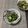 おはなすき's cooksnap of when they made おつまみ♬ しらす キュウリ ゆかり和え.
