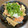 jerrys's cooksnap of when they made 鮭とえのきの煮浸し.