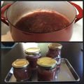 あきら0920's cooksnap of when they made 簡単♪ルバーブと砂糖だけのシンプルジャム.