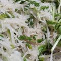 あゆたっくん's cooksnap of when they made 豆苗と大根の節約サラダ.
