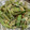 toshio39's cooksnap of when they made ピーマンの明太マヨ炒め.