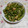 くネコまろす's cooksnap of when they made 超ご飯が進む♡ピーマンと油揚げ炒め.