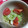 ♡crew♡'s cooksnap of when they made トマトときゅうりの粒マスタードマリネ.
