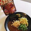 なち☆★'s cooksnap of when they made 釜玉カレーうどん.