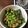 クック6LNIHM☆'s cooksnap of when they made 動画】冷凍むき枝豆とガーリックごま油炒め.