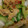 クック03Y5W8☆'s cooksnap of when they made 豚肉ときゅうりの中華風炒め.