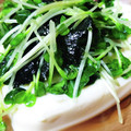 五月晴れ♪'s cooksnap of when they made 簡単＆節約♪かいわれと海苔のナムル☆.