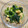 しょこら＊＊'s cooksnap of when they made 簡単美味しい小松菜と炒り卵のおひたし.