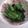 きらり流れ星's cooksnap of when they made 簡単　小松菜のおひたし.