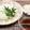 horseland's cooksnap of when they made 三種の薬味 ざるうどん.