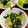 ルぴあ's cooksnap of when they made くずし豆腐のわかめサラダ 自分用.