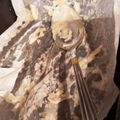 ましち's cooksnap of when they made 鮭のムニエル～ホワイトソース～.