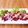 やなぎだまこ's cooksnap of when they made 大絶賛！炙りマグロのカルパッチョ✿.
