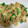 ☆hiroppy☆'s cooksnap of when they made ほうれん草と豚肉のオイスター煮.