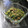 からあげパーティー's cooksnap of when they made 鉄分を取りたい～小松菜の混ぜご飯の素.
