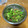 料理初心者のシンママ's cooksnap of when they made 【簡単】オクラの胡麻和え.