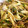 クックPSXBNX☆'s cooksnap of when they made 簡単！大量消費☆やみつきみょうが.