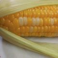 MUJIRUSI☆'s cooksnap of when they made 簡単！ラップ不要！とうもろこしの茹で方.