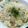 プルンバゴ's cooksnap of when they made おじや　体調不良の時　などに.