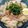プルンバゴ's cooksnap of when they made 簡単アレンジ☆ツナと大葉の冷やしそうめん.