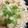 手抜きクック's cooksnap of when they made レンジで簡単☆和風じゃがバター.