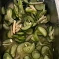 Yokchina's cooksnap of when they made 簡単！1分！【胡瓜とガリの即席酢の物】.