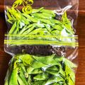 momotaroxx's cooksnap of when they made 冷凍保存♪彩りにモロッコいんげん.
