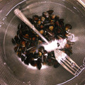 みちばたの花's cooksnap of when they made しじみの砂抜き.