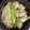 いっぺい99's cooksnap of when they made 簡単美味☆エビとホタテのアヒージョ.