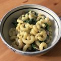 cheesedog's cooksnap of when they made チーズたっぷり！マカロニ＆チーズ.